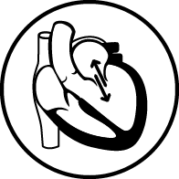 弁膜症